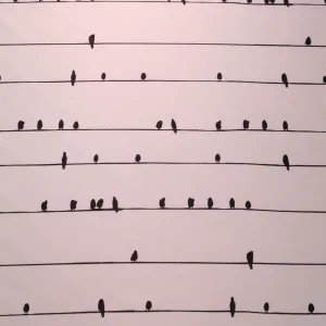 Black Birds on White Printed Polyester Mikado Fabric